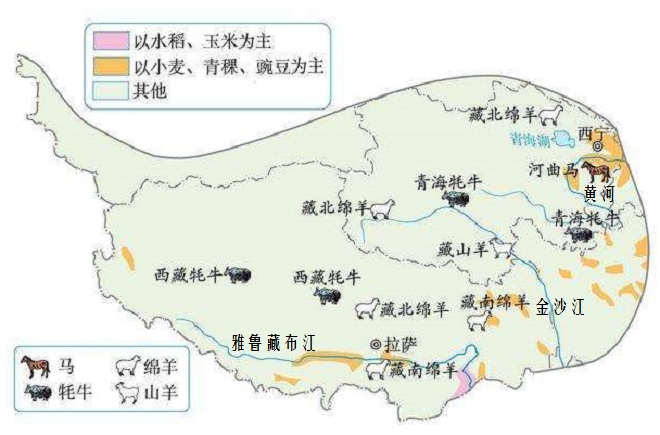 绿洲农业(绿洲农业和河谷农业,我国西北地区和青藏地区的特色农业方式