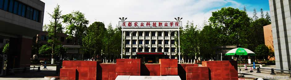 2018年最新四川专科院校前十强:6所国示、3所国骨、1所省级