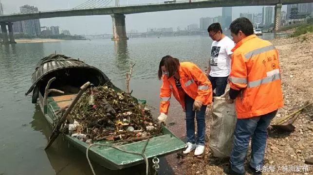 2017年醴陵教师招聘（一组资讯）