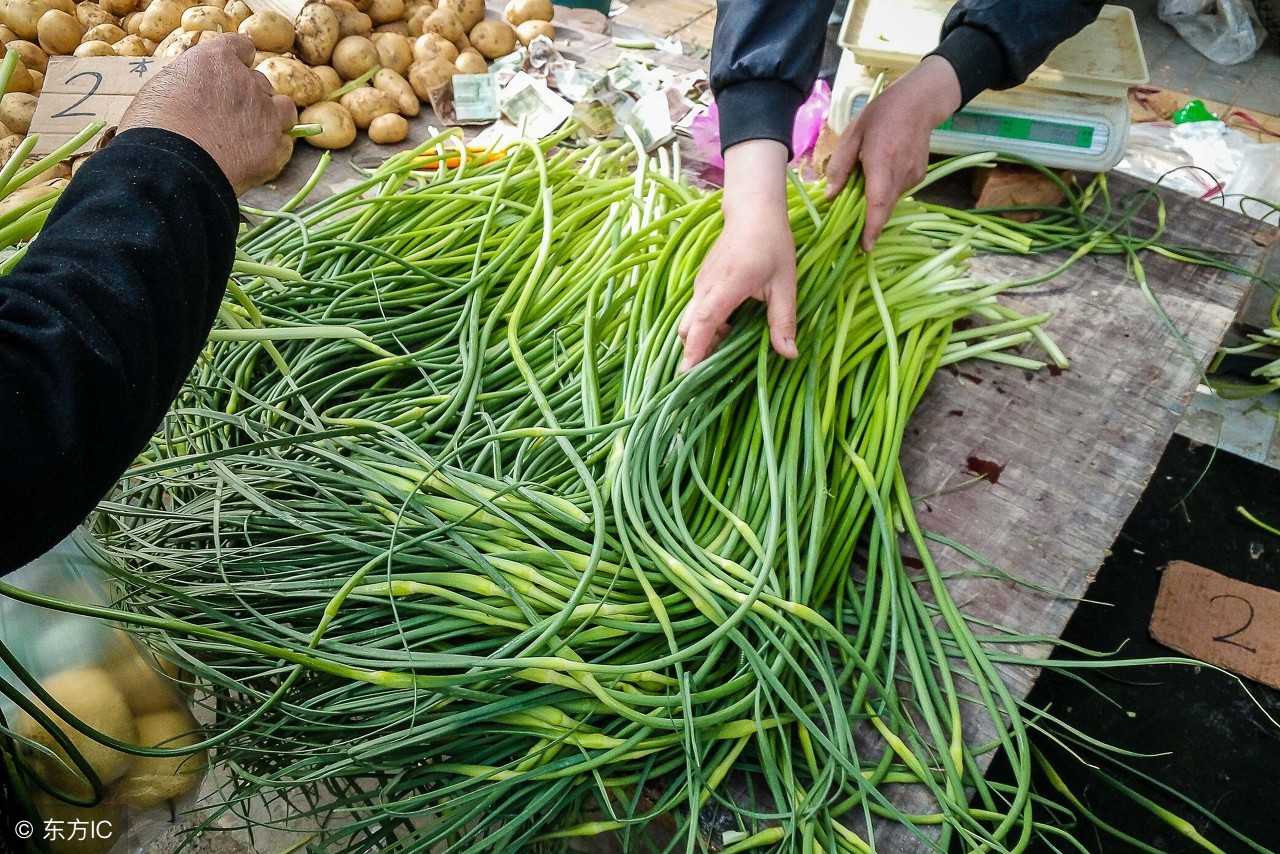 蒜苔多少钱一斤？2018年4月15日蒜苔收购价格行情