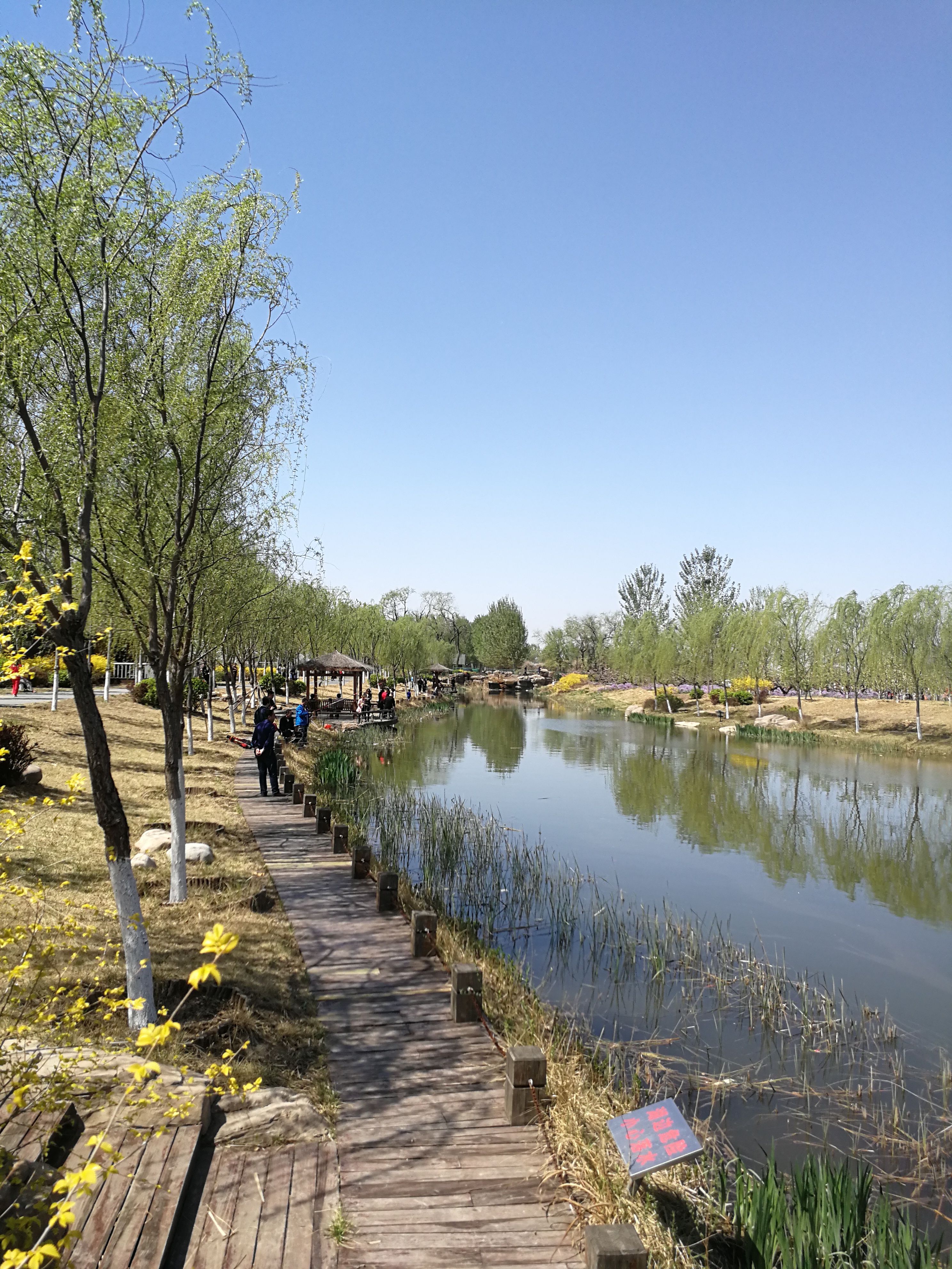 津溪桃源赏花-谈影视中的花