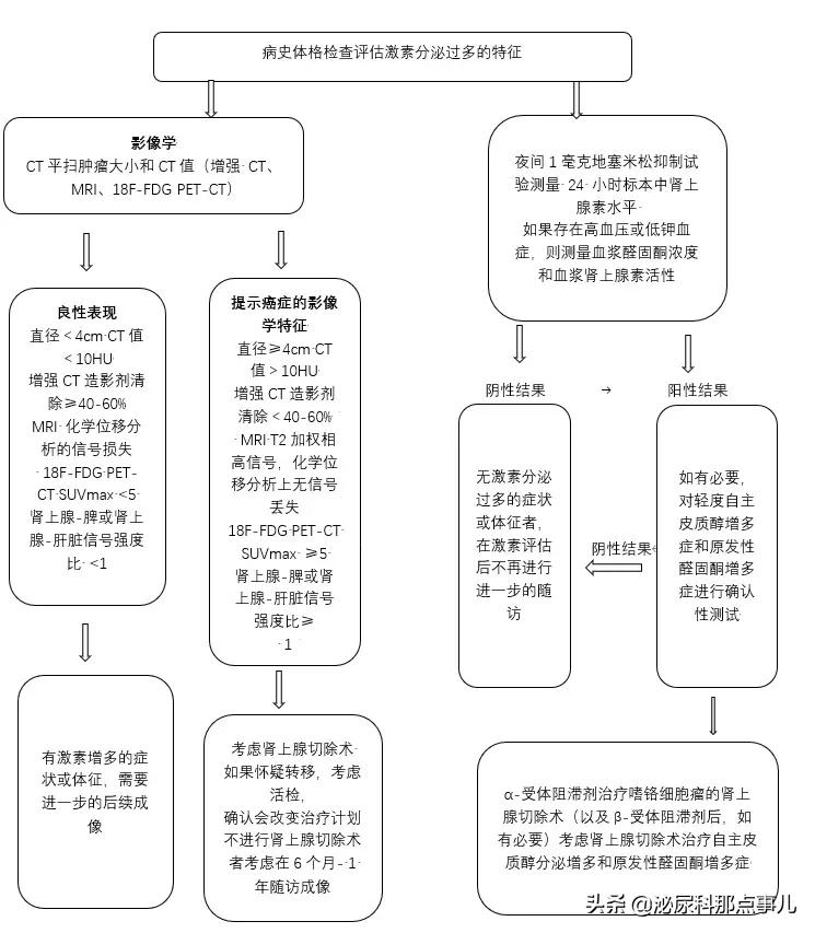 来自NEJM的综述：肾上腺偶发瘤