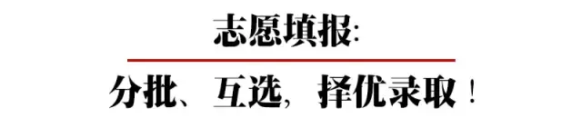 你的孩子是怎样被高中录取的？河南部分地市2017年高中录取分数线