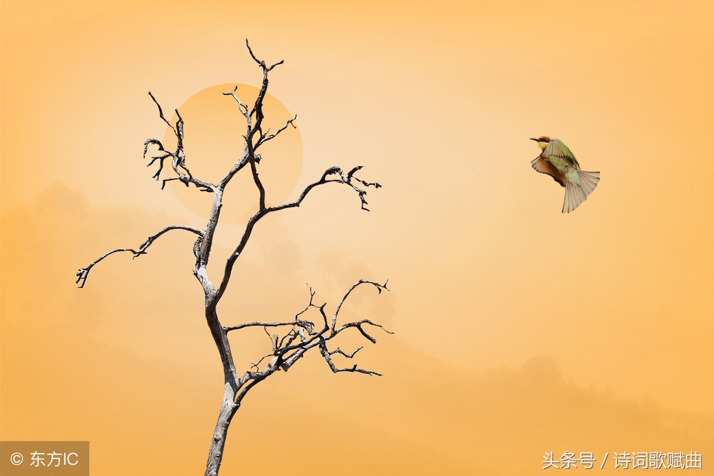 十首古诗美到令人心碎，每一首都是绝唱，读来悱恻缠绵