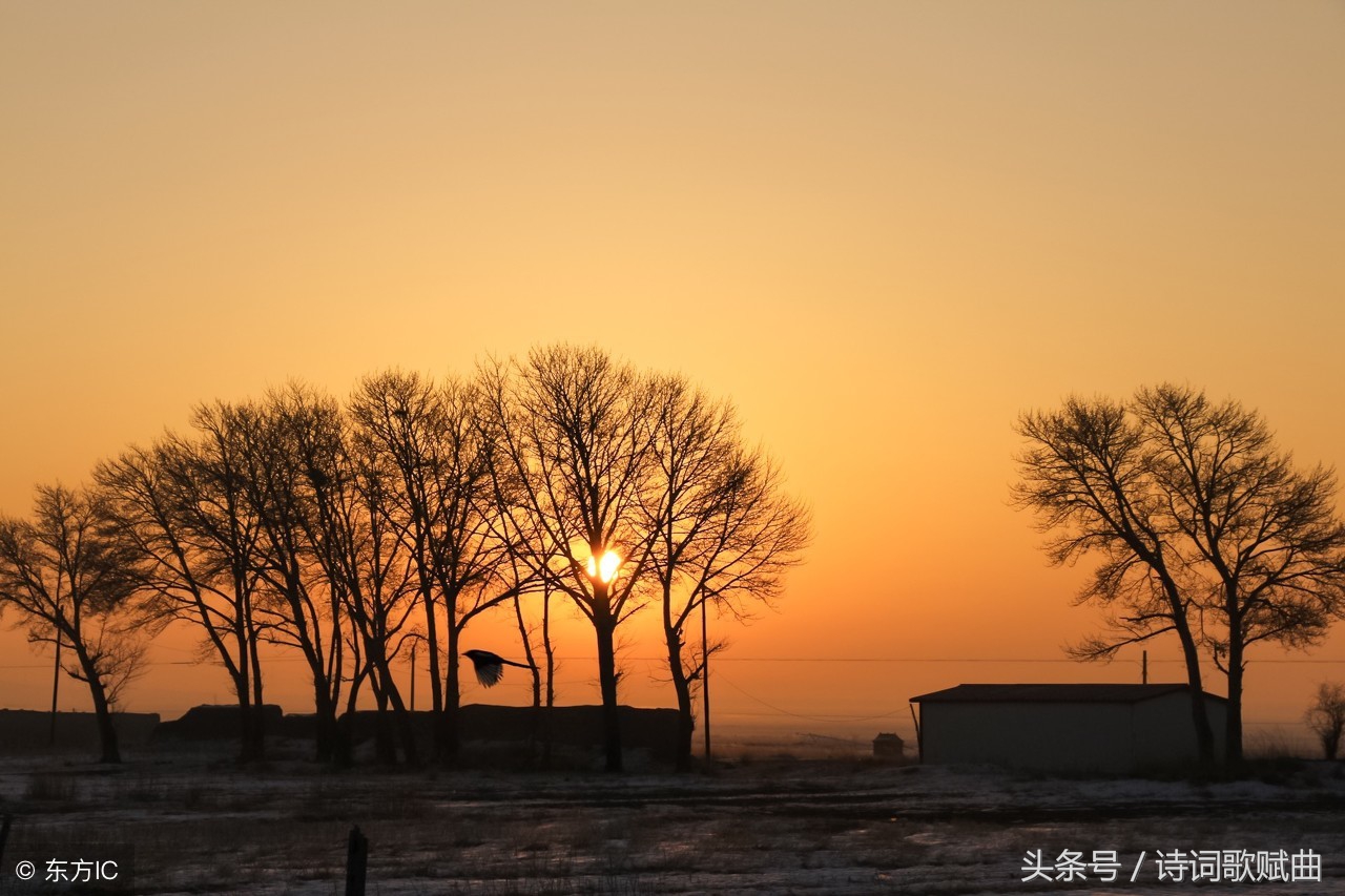 十首古诗美到令人心碎，每一首都是绝唱，读来悱恻缠绵