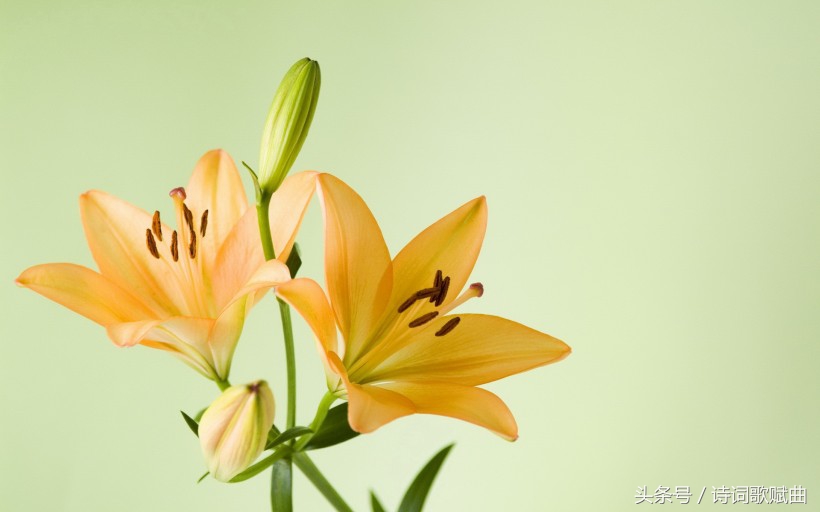 十首古诗美到令人心碎，每一首都是绝唱，读来悱恻缠绵