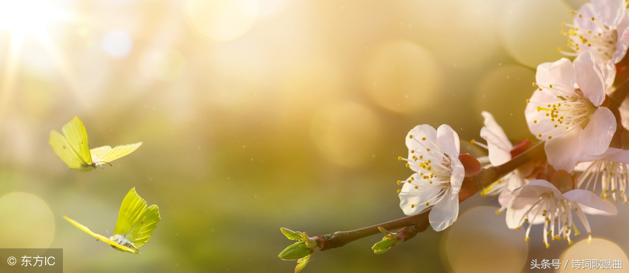 十首古诗美到令人心碎，每一首都是绝唱，读来悱恻缠绵