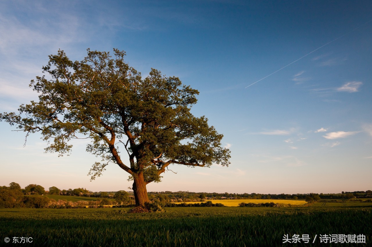 十首古诗美到令人心碎，每一首都是绝唱，读来悱恻缠绵