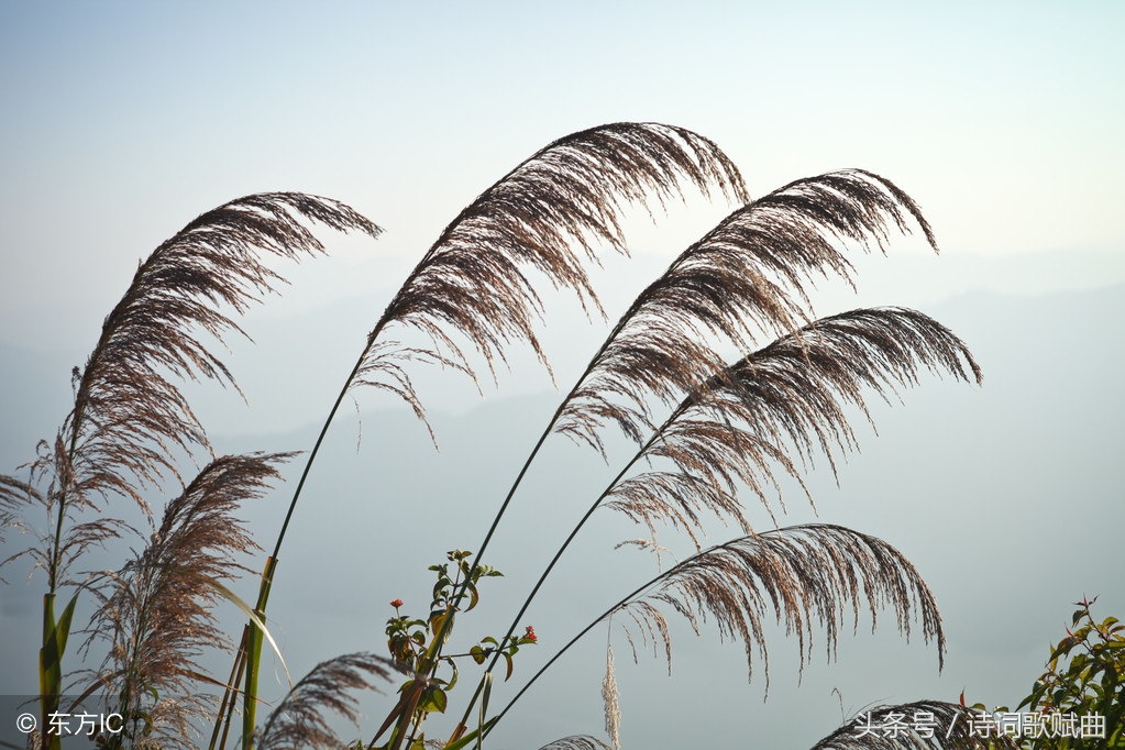 十首古诗美到令人心碎，每一首都是绝唱，读来悱恻缠绵