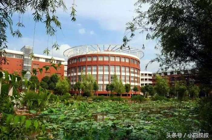 湖北高考排名2017（湖北高中排名第一）