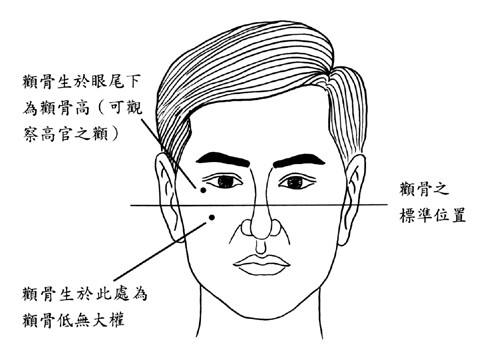 面相：颧骨看事业成败