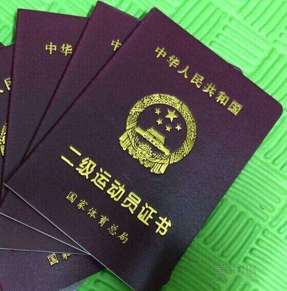 足球國家一二三級運動員標準（上海推青少年運動等級標準，體育“打怪升級”之路不好走）