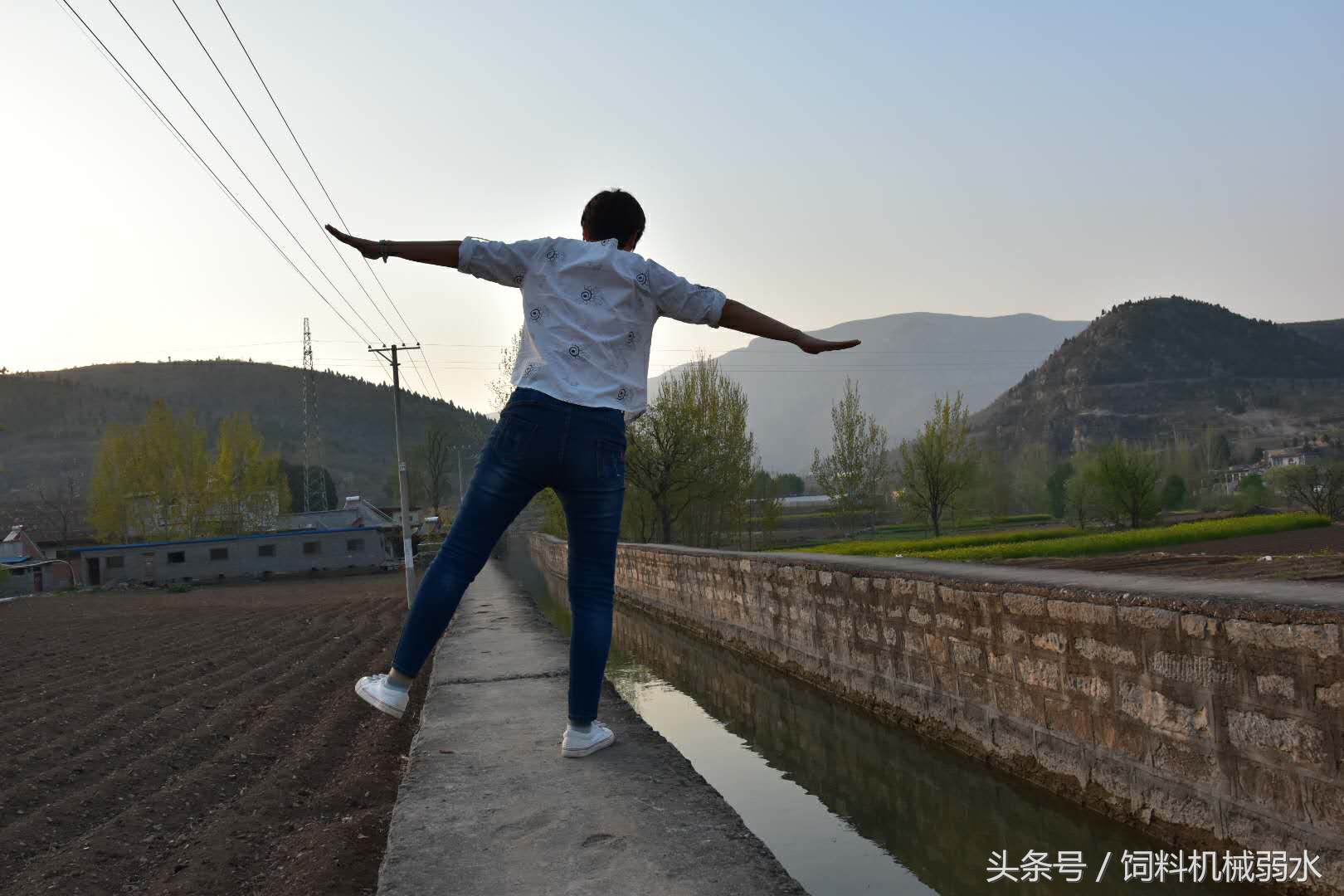 看看立式飼料粉碎攪拌機(jī)最容易出現(xiàn)的問(wèn)題，您中招沒(méi)？