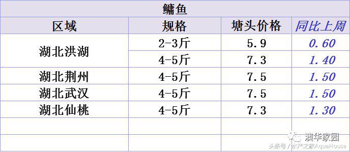 山口今日螃蟹价（武汉螃蟹价格今日价一斤）