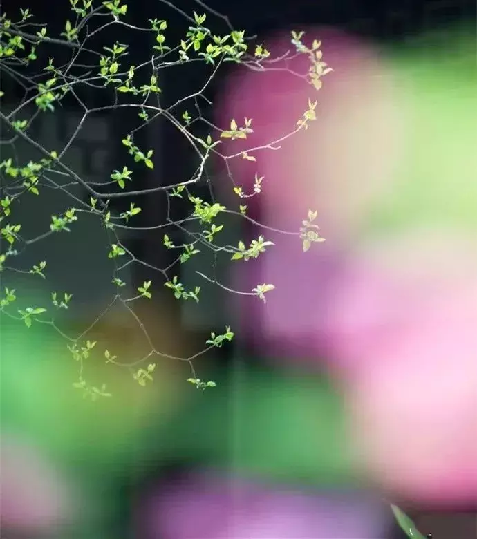 11首古诗词，三月初三带你回忆被人遗忘的上巳节