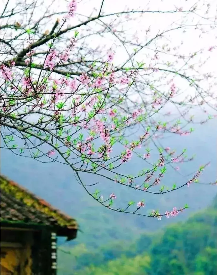 11首古诗词，三月初三带你回忆被人遗忘的上巳节