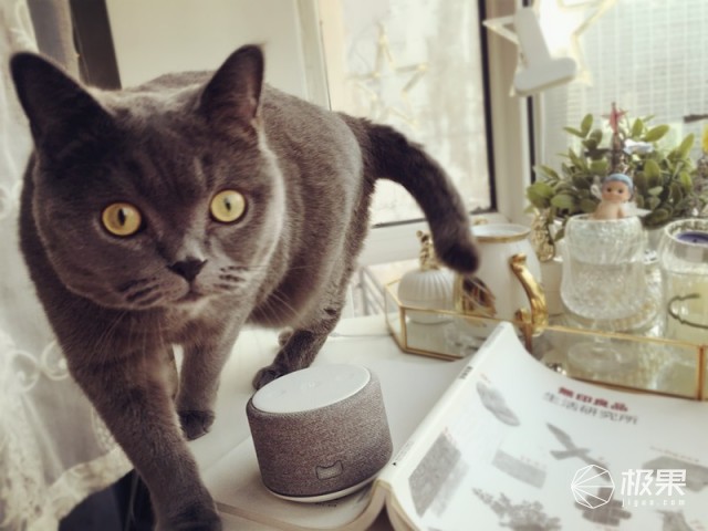 深度体验｜陪我聊天逗我开心的天猫精灵有多好用？衣食住行全靠它