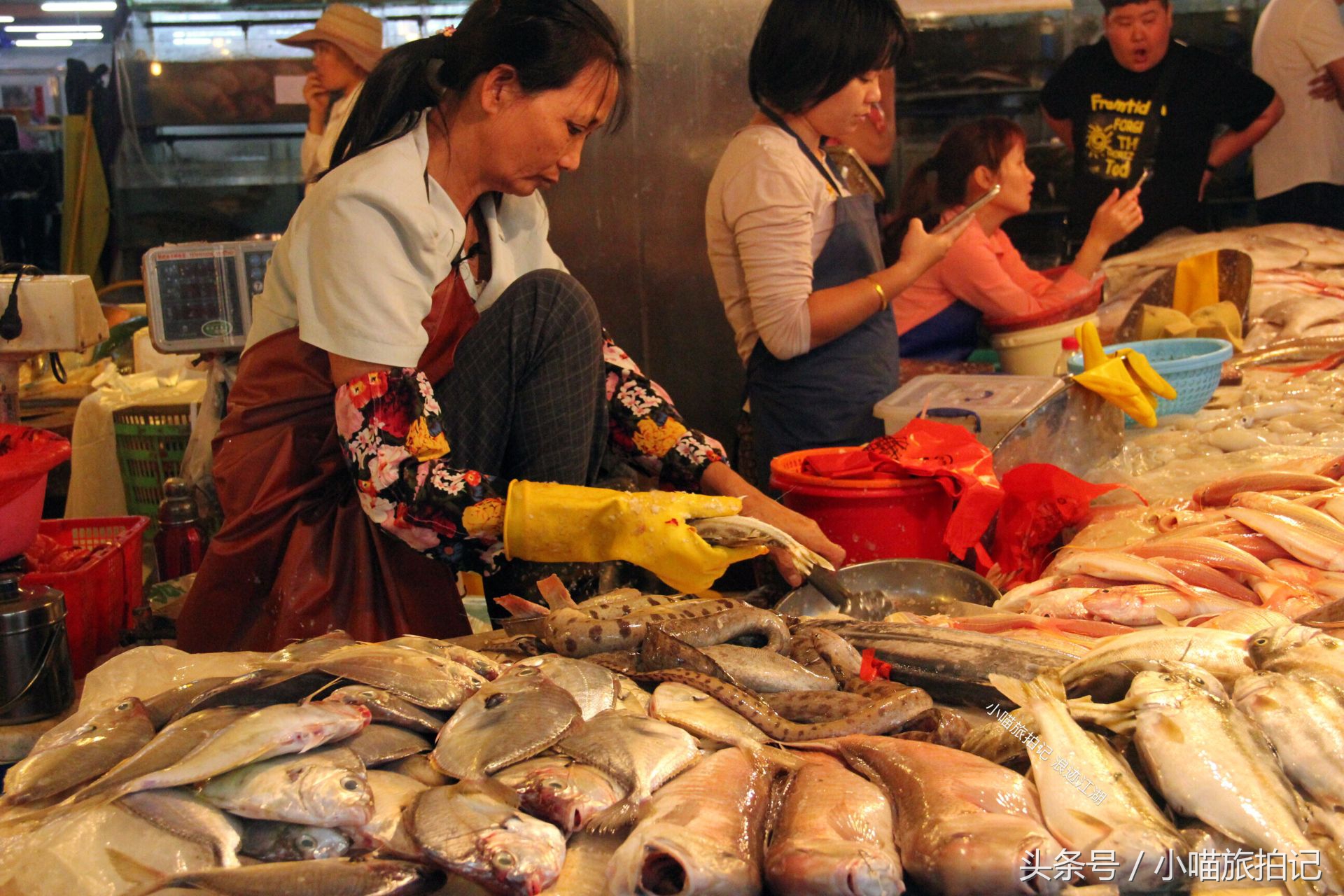 带你看真实的海南三亚海鲜市场,一只大龙虾160元,贵吗?