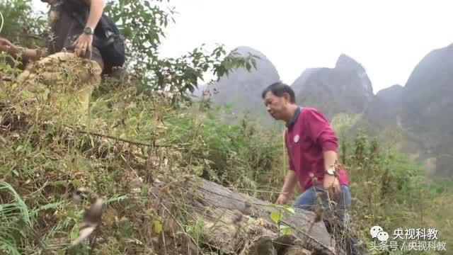 ��������ô����������ԭò��-��Ȼ�����