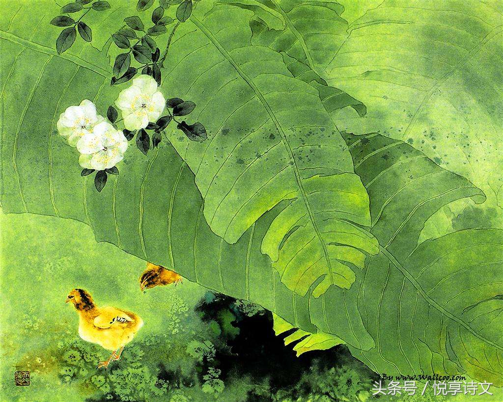 绿净春深好染衣 九首古人关于描写“绿”的诗词