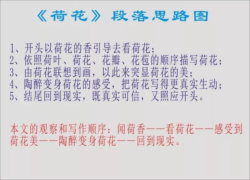 「写物」小学状物作文之例文赏析：《荷花》