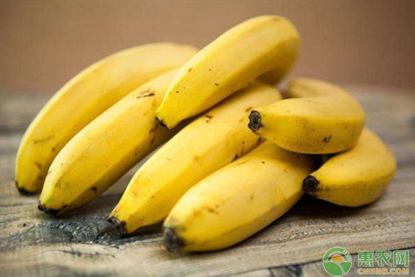 今日香蕉多少钱一斤？4月27日国内香蕉主产区市场收购价格