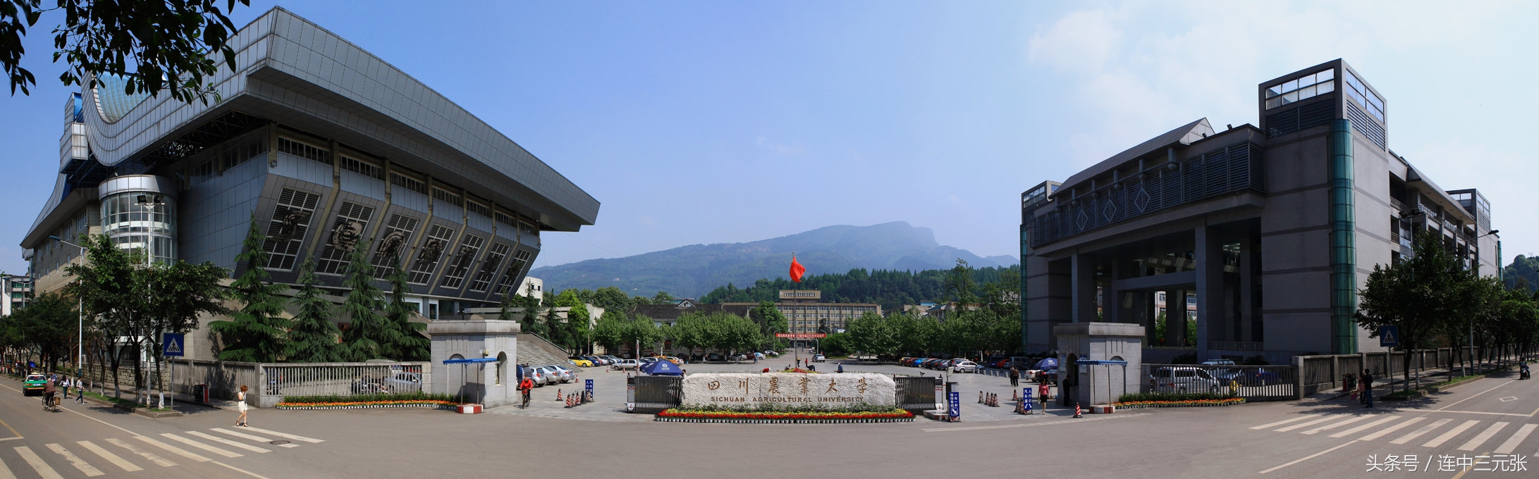 四川农业大学2017年录取分数线