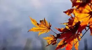 她为何成荡妇?思春女人多可怕?忆君心似西江水,日夜东流无歇时