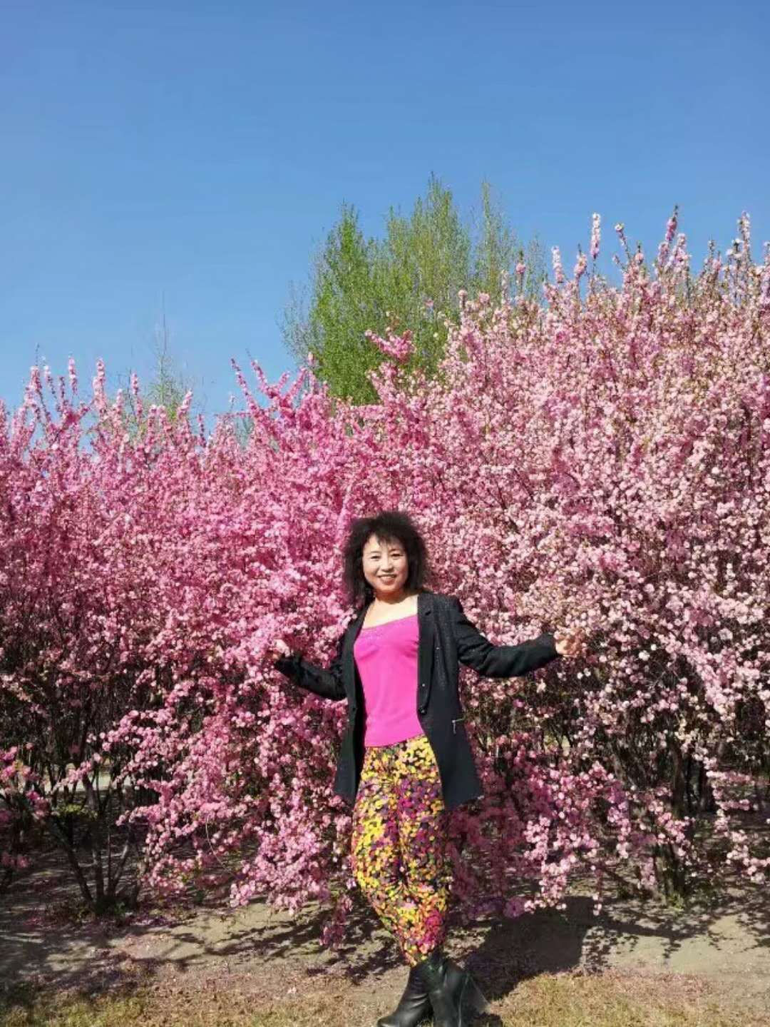 又见桃花开 I See Peach Blossoms Again（英汉双语版）