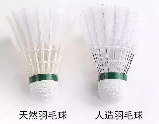 塑料羽毛球怎么选(「装备知识」尼龙球与羽毛球的区别在哪？如何挑选？)