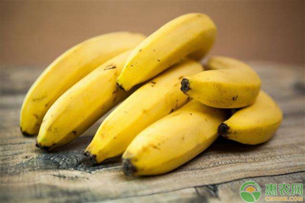 香蕉多少钱一斤？2018年5月2日最新香蕉主产区价格行情