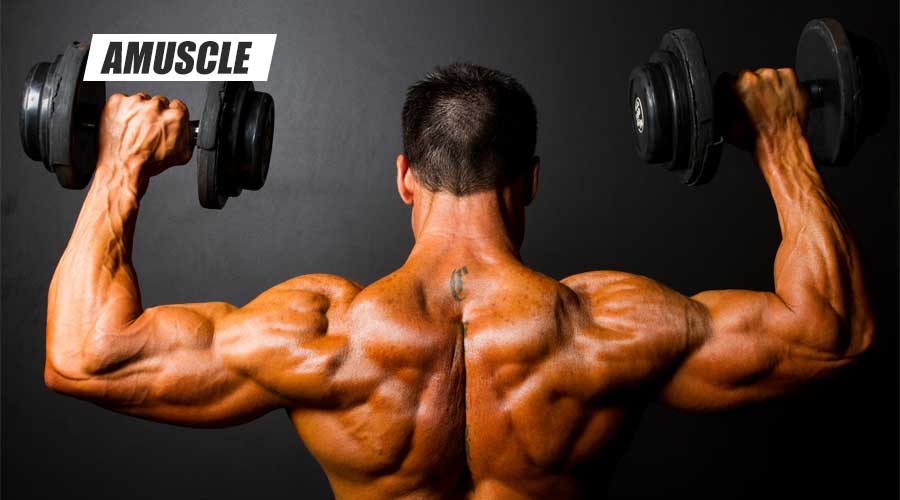 这7种里有你喜欢的肩部训练动作吗？