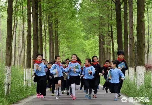 如果学生在学校死亡，学校有责任吗？｜问答精选