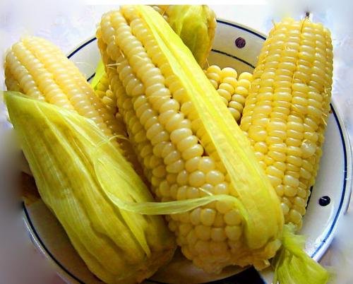 玉米胚芽营养“赛黄金”？玉米最有营养的部分，记得吃干净了！