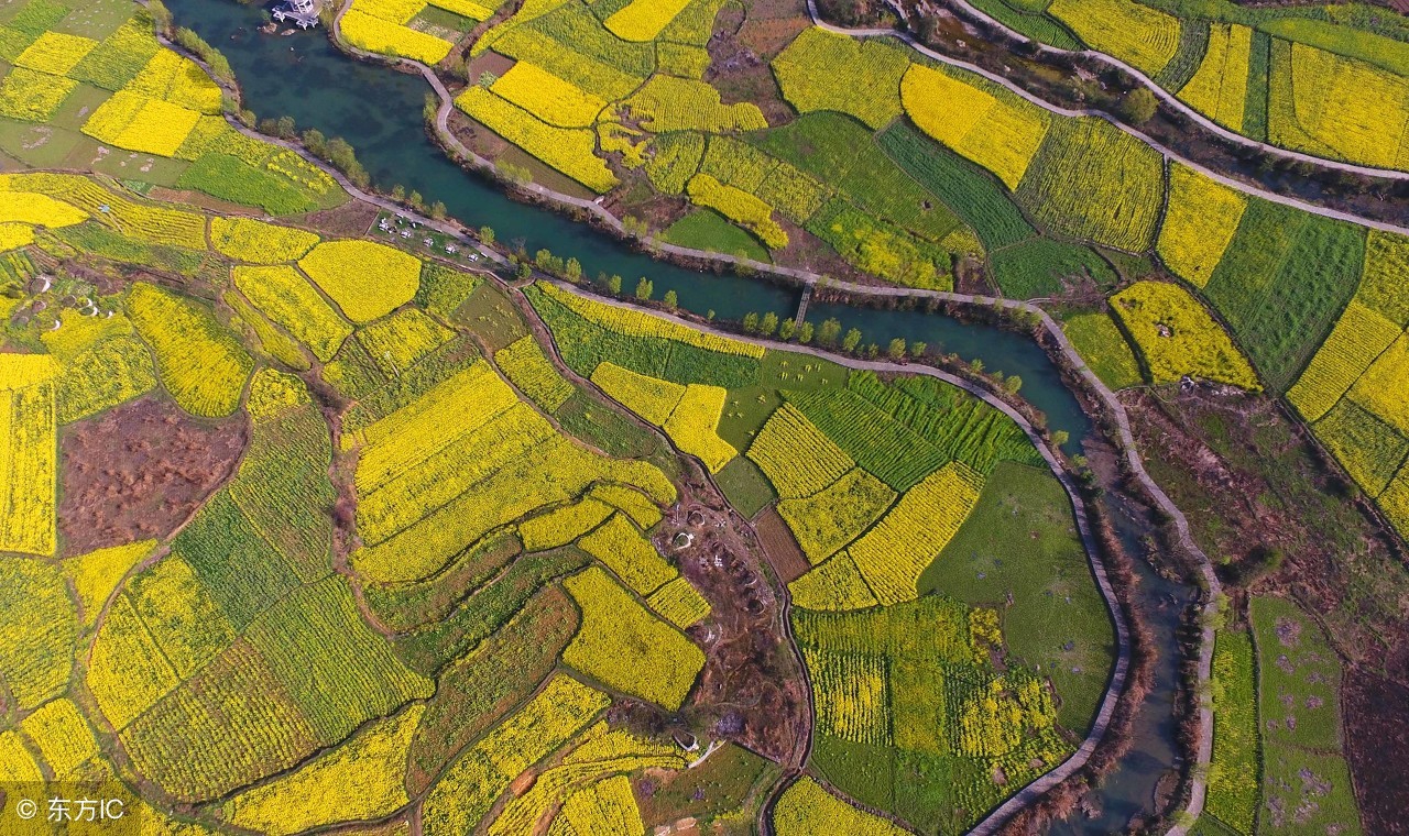 八卦口诀歌，记住获益终生