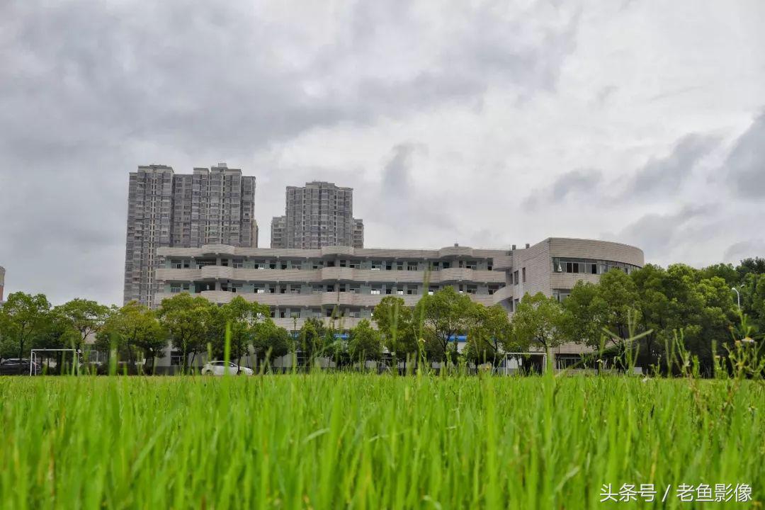 在舒城,有一所学校叫舒城师范