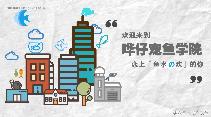 盘点十大奇特南美慈鲷鱼，熟悉的人不多，但能让你的鱼缸独一无二
