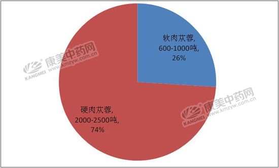 “沙漠人参”肉苁蓉供需平衡局面被打破了吗？