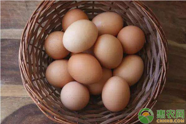 夏县鸡蛋今日价格「鲜鸡蛋价格 今日价格」