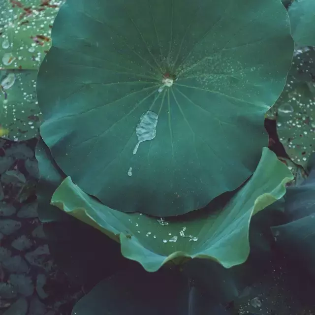 天有不测风云人有旦夕祸福（天有不测风云人有旦夕祸福的说说）-第2张图片-科灵网