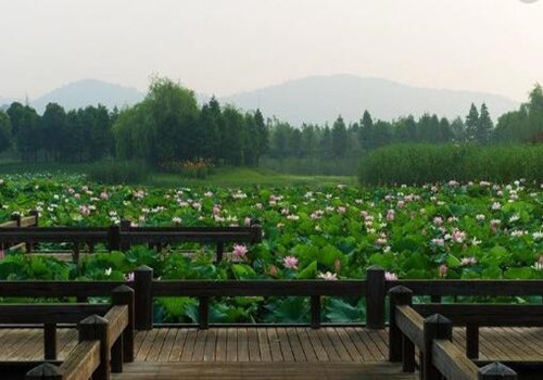 夏日炎炎：好词好句好段合集，尽享盛夏美好时光