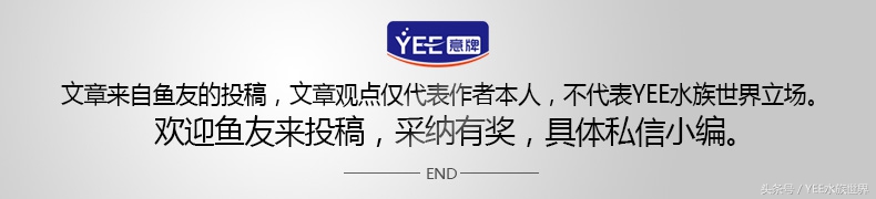 岁月流转，不变的是养鱼初心！