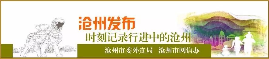 喜报！沧州上半年特色产业集群营入1418亿元