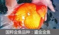 1l等于多少立方厘米（0.01l等于多少立方厘米）-第21张图片-华展网