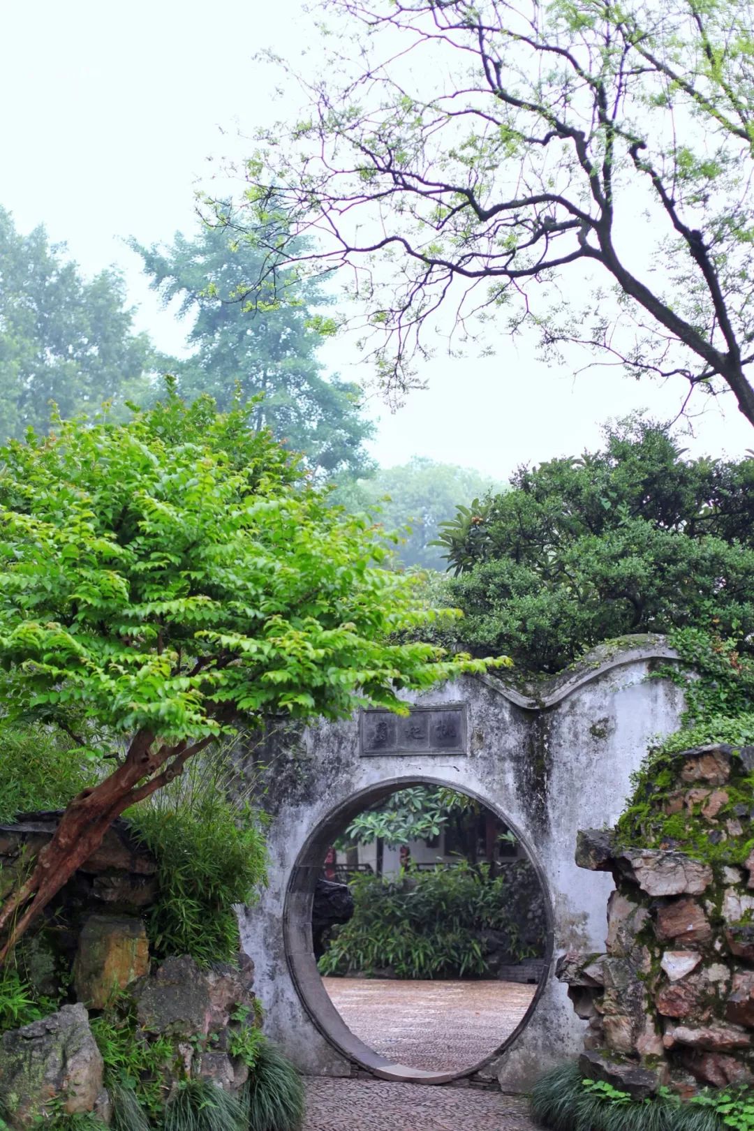 苏州最大的古典园林，居然还可以包场？！