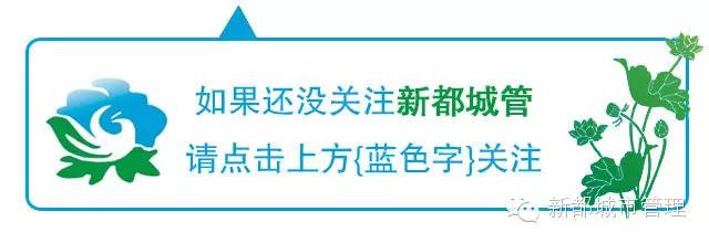 摘“危牌”去隐患｜新都区城管局做好户外广告招牌安全隐患排查整治工作