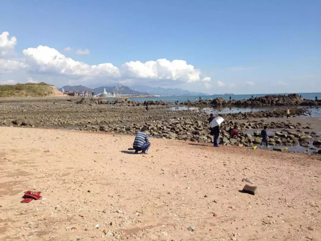 青岛赶海潮汐表查询（青岛市近海潮汐时间表）-第11张图片-科灵网