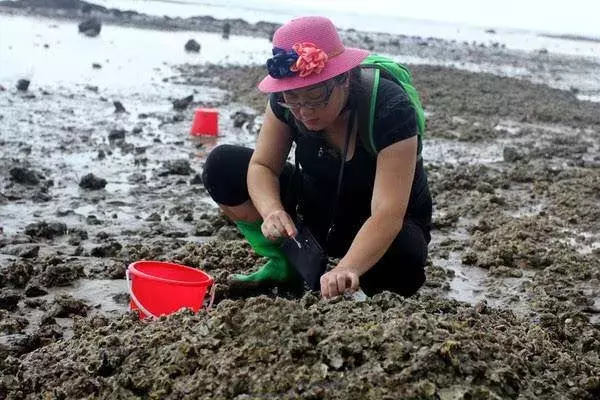 青岛赶海潮汐表查询（青岛市近海潮汐时间表）