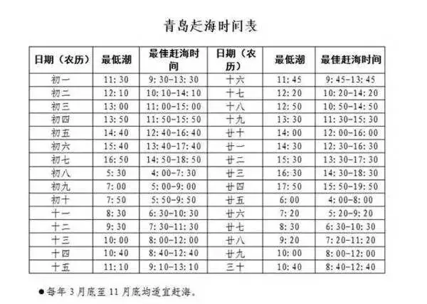 青岛赶海潮汐表查询（青岛市近海潮汐时间表）