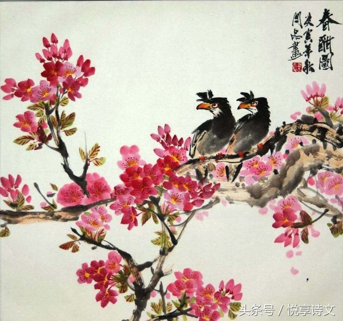 描写杜鹃的诗句,琵琶行中描写杜鹃的诗句
